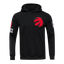 NBA Toronto Raptors Pullover Hoodie (Black)