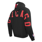 NBA Chicago Bulls Wingspan Pullover Hoodie (Black) - Image 5