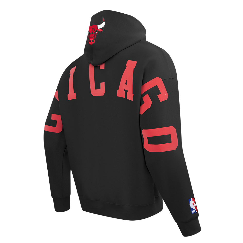 NBA Chicago Bulls Wingspan Pullover Hoodie (Black) - Image 5