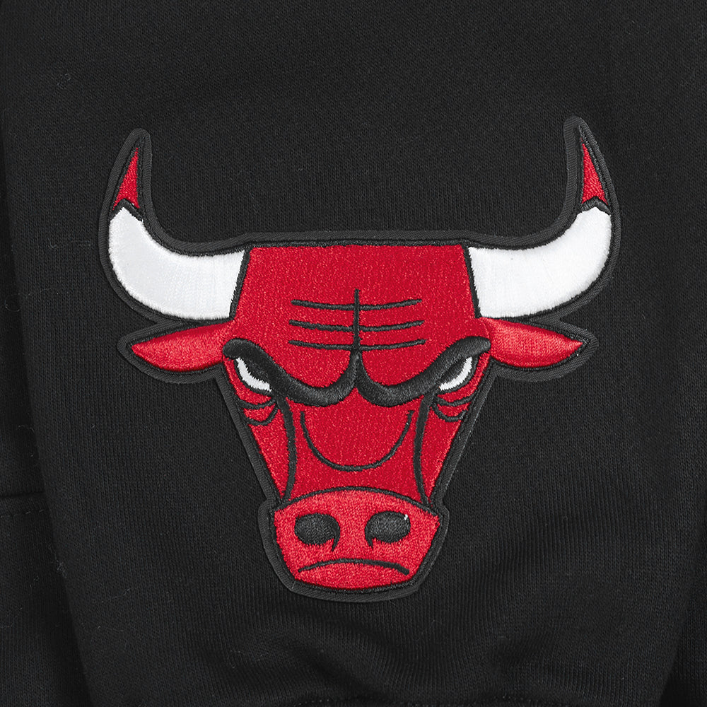 NBA Chicago Bulls Wingspan Pullover Hoodie (Black) - Image 7
