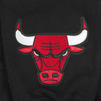 NBA Chicago Bulls Wingspan Pullover Hoodie (Black) - Image 7