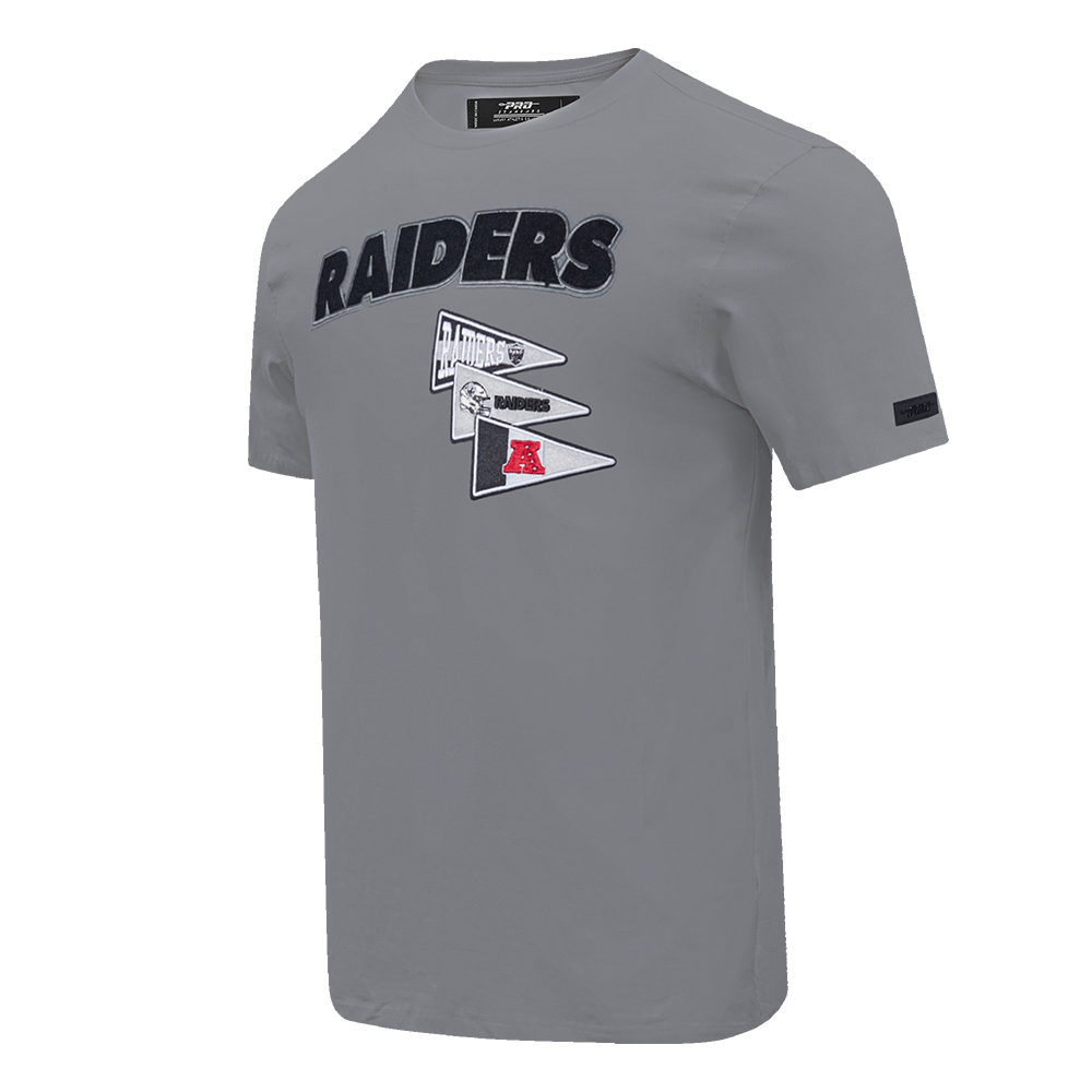 NFL Las Vegas Raiders Classic Tshirt (Grey) - Image 2