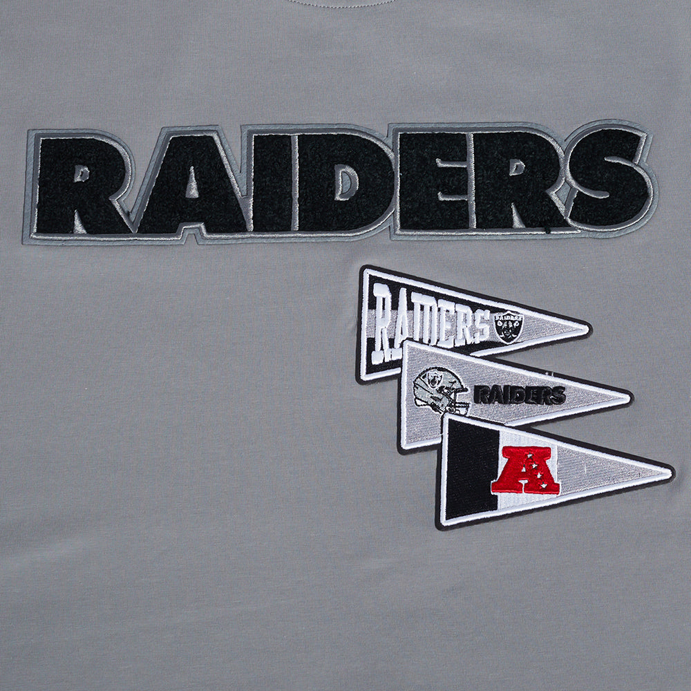 NFL Las Vegas Raiders Classic Tshirt (Grey) - Image 5