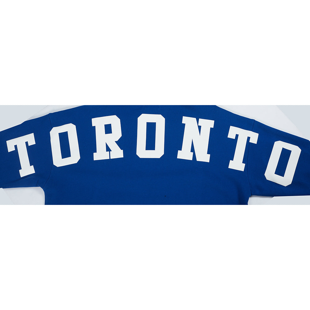 NHL Toronto Maple Leafs Wingspan Pullover Hoodie (Dodger Blue) - Image 7
